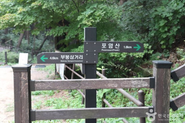 미륵리 불두 여행 추천 - 메고지고