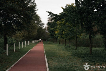 근화수변 문화광장숲 여행 추천 - 메고지고