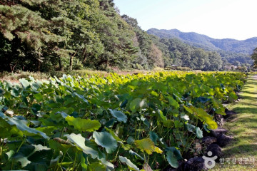 여적암(보은) 여행 추천 - 메고지고