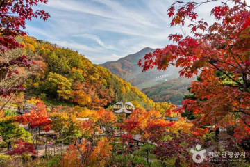 스파라스파 (곤지암리조트) 여행 추천 - 메고지고