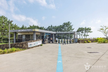 꽃귤농장 여행 추천 - 메고지고