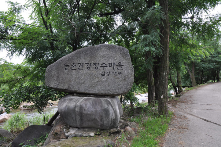 대포숲 여행 추천 - 메고지고