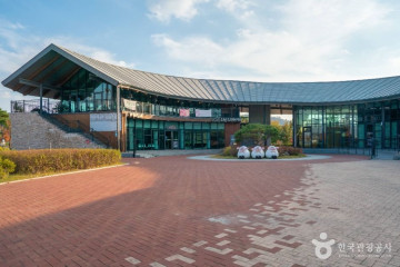 영천한약재전시관 여행 추천 - 메고지고