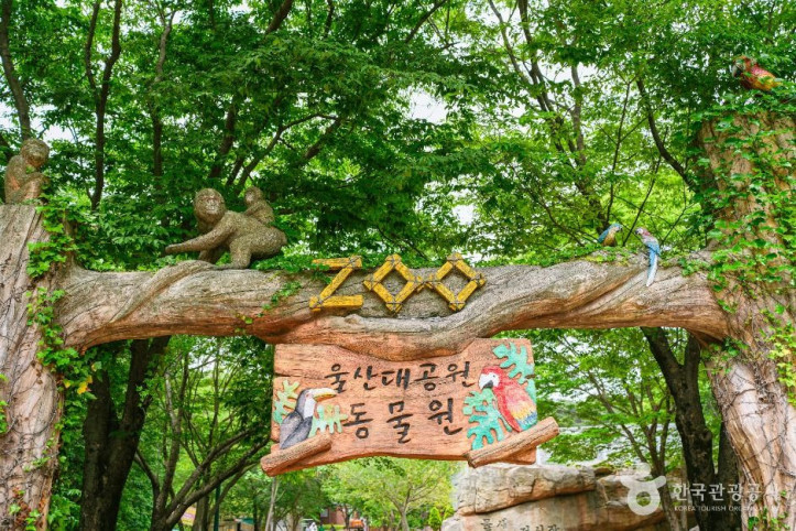 울산대공원 동물원 여행 추천 - 메고지고