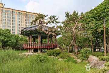 용두동 쭈꾸미골목 여행 추천 - 메고지고