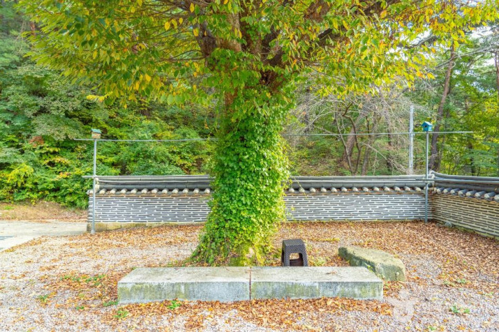 여적암(보은) 여행 추천 - 메고지고