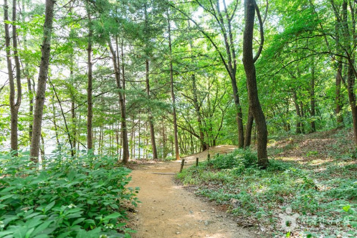 정발산공원 여행 추천 - 메고지고