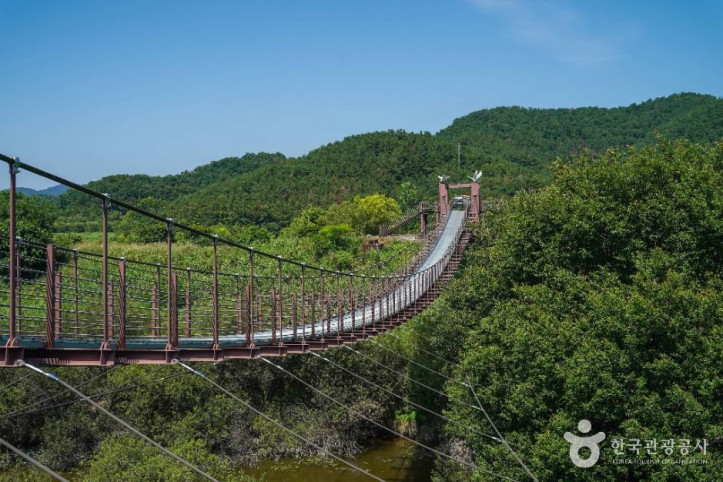 우포출렁다리 여행 추천 - 메고지고