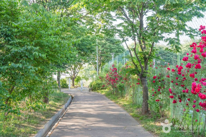 서탄금암체육공원 여행 추천 - 메고지고