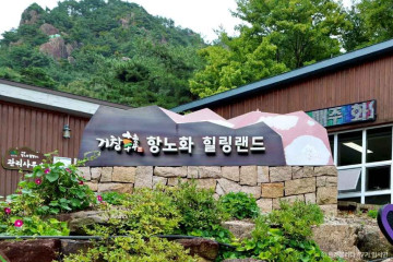 치유의숲 무장애길 여행 추천 - 메고지고