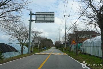 몽산포해수욕장 여행 추천 - 메고지고