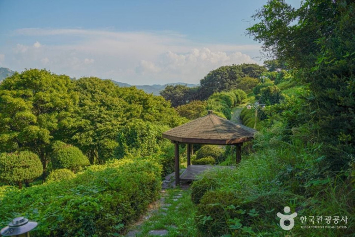 숲쟁이공원 여행 추천 - 메고지고