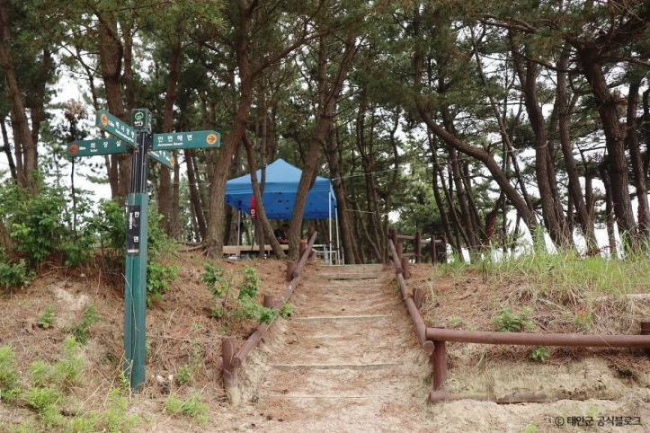 안면해수욕장 여행 추천 - 메고지고