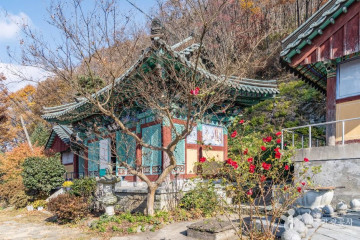 정읍 구절초 지방정원 여행 추천 - 메고지고