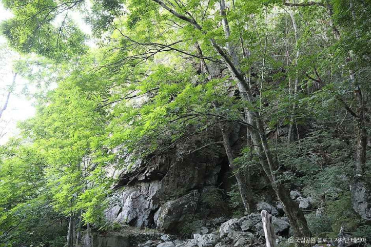 지리산국립공원(함양) 여행 추천 - 메고지고