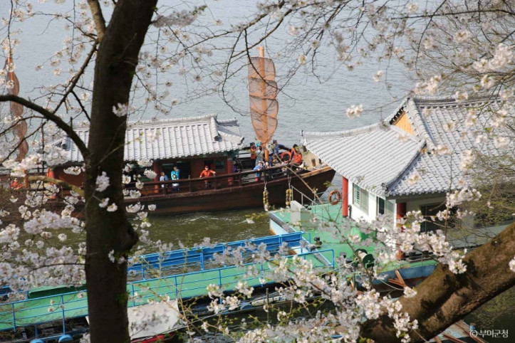 낙화암 여행 추천 - 메고지고