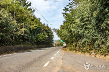 무안회산백련지 여행 추천 - 메고지고