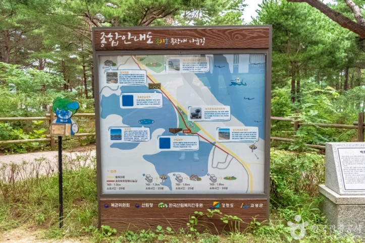 송지호둘레길 여행 추천 - 메고지고