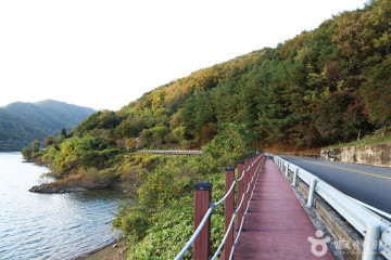 비바체리조트 여행 추천 - 메고지고
