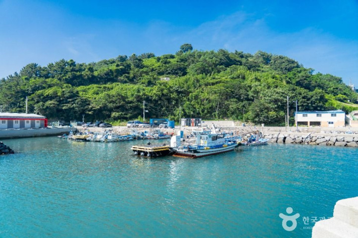 독정항 여행 추천 - 메고지고