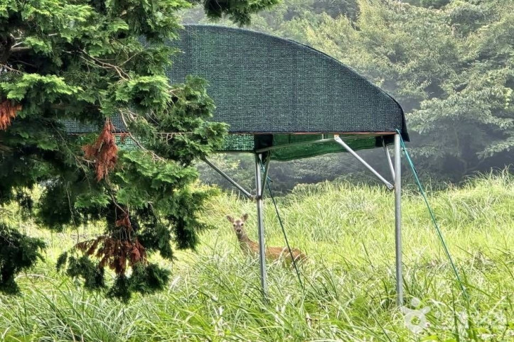걸시오름 여행 추천 - 메고지고