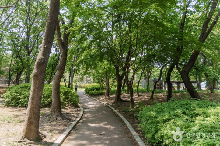 양재근린공원 여행 추천 - 메고지고
