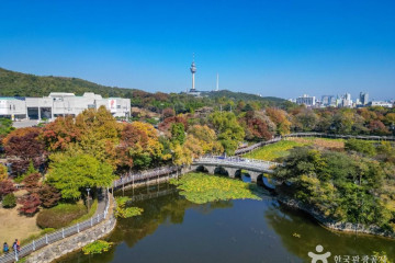 대구두류공원 여행 추천 - 메고지고