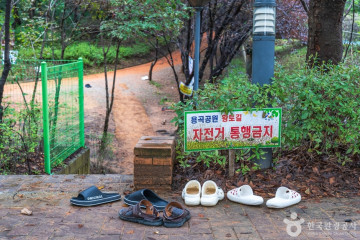 물총새공원 여행 추천 - 메고지고
