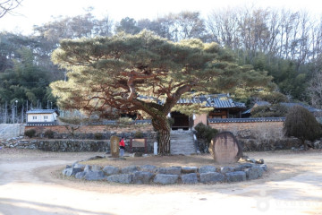 명품옻골 1616 협동조합 여행 추천 - 메고지고