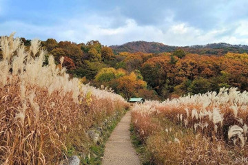 한티재 여행 추천 - 메고지고