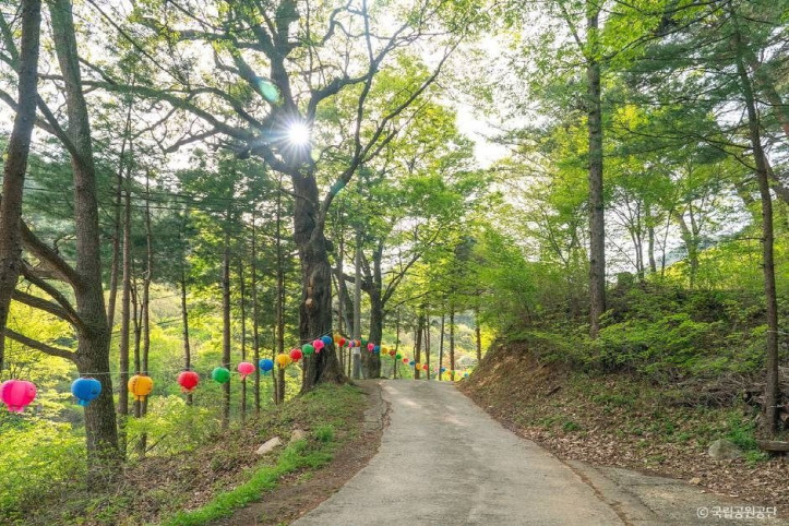 파계사 여행 추천 - 메고지고