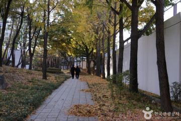 서울 동대문 닭한마리 골목 여행 추천 - 메고지고