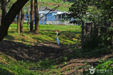 자산서원 여행 추천 - 메고지고