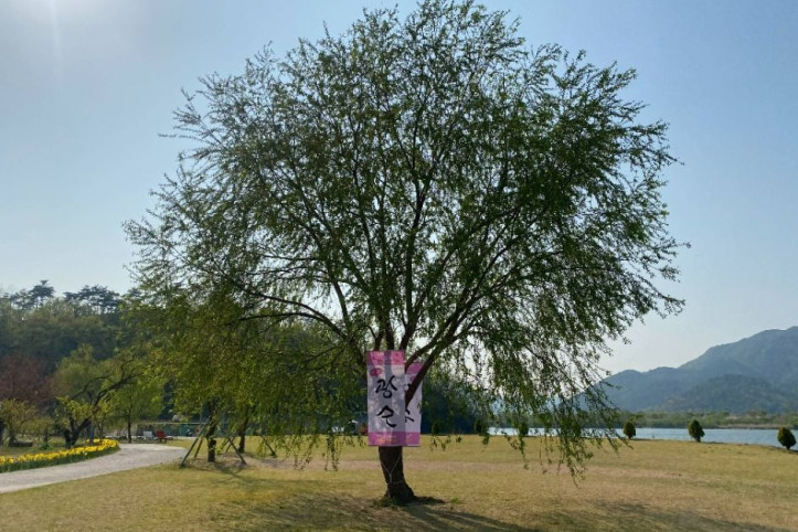 용당나루 매화공원 여행 추천 - 메고지고