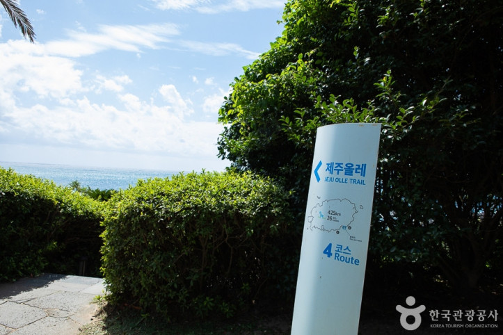 하트나무 여행 추천 - 메고지고