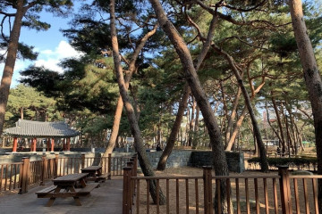국립4·19민주묘지 여행 추천 - 메고지고