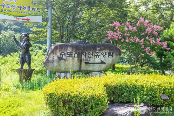 수도산자연휴양림 여행 추천 - 메고지고