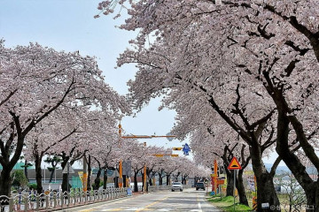 삼척 초당굴 여행 추천 - 메고지고