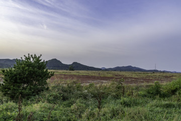 신흥사(화성) 여행 추천 - 메고지고