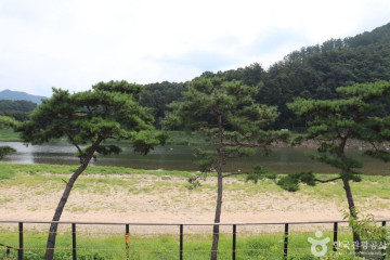 목도양조장 여행 추천 - 메고지고