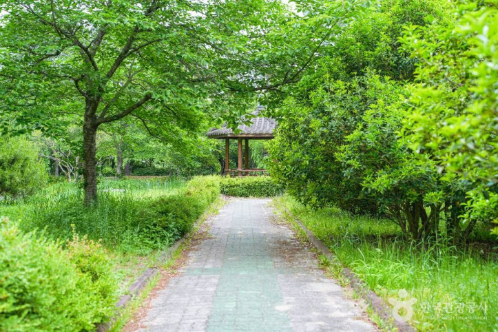 경상북도 산림환경연구원 여행 추천 - 메고지고
