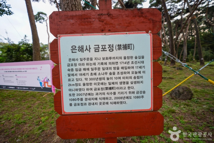은해사(영천) 여행 추천 - 메고지고