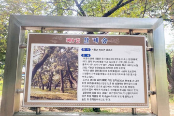 만월당 여행 추천 - 메고지고