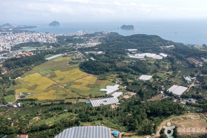 서귀포 하논분화구 여행 추천 - 메고지고