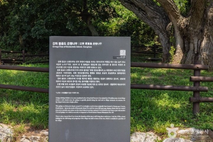 볼음도 여행 추천 - 메고지고
