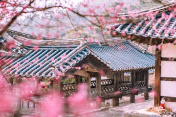 논산 딸기삼촌농장 여행 추천 - 메고지고