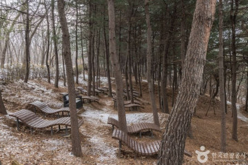 키즈런스포츠파크 노원점 여행 추천 - 메고지고