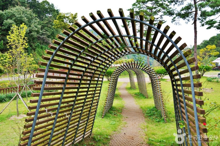 생거진천치유의숲 여행 추천 - 메고지고