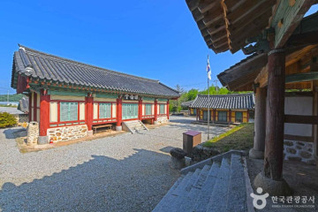 서어나무 숲 여행 추천 - 메고지고
