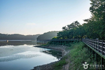 의성펫월드 여행 추천 - 메고지고